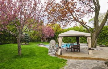 Pool and Patio Area