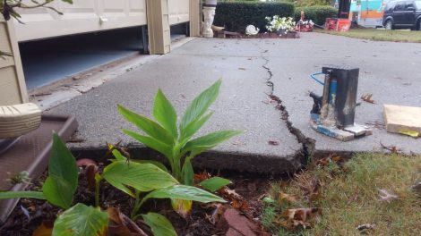 sidewalk lifting