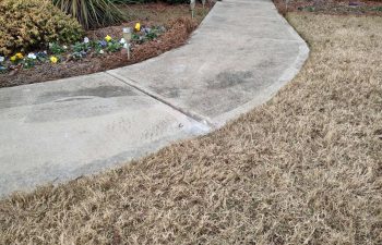 The sidewalk - before and after.