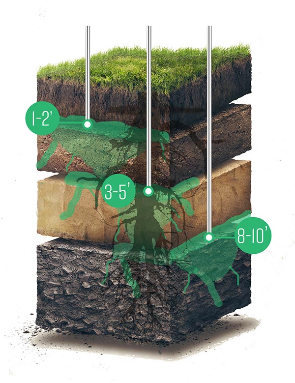 di soil layers