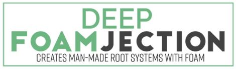 deep foamjection logo