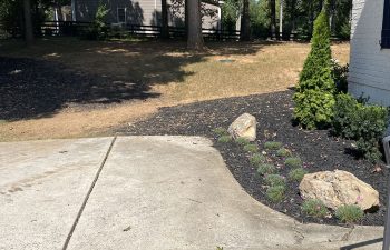 driveway before patch work